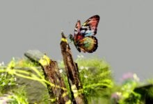 digital exploration journey unveiled