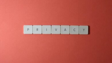 digital identity platform concept