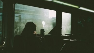 digital transformation experience explored