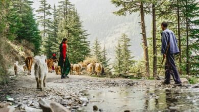 journey of unconventional choices