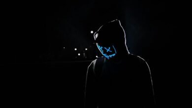 mysterious digital presence revealed
