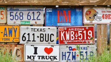 vehicle identification through plates