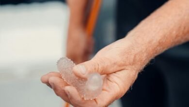 commercial research project overview