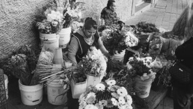 market intelligence data overview