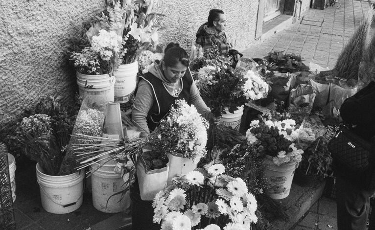 market intelligence data overview