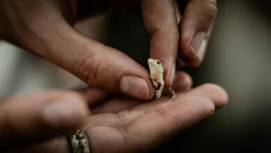 system level metric analysis